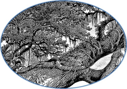 Иллюстрация к книге — Второе открытие Америки [i_052.jpg]