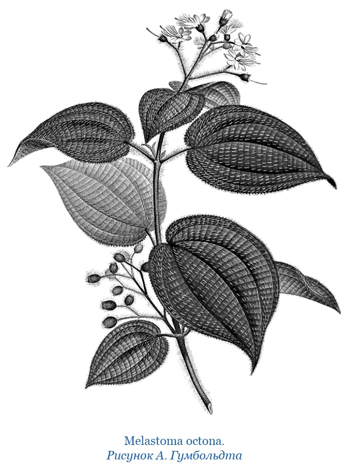 Иллюстрация к книге — Второе открытие Америки [i_066.jpg]