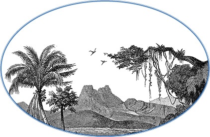 Иллюстрация к книге — Второе открытие Америки [i_075.jpg]