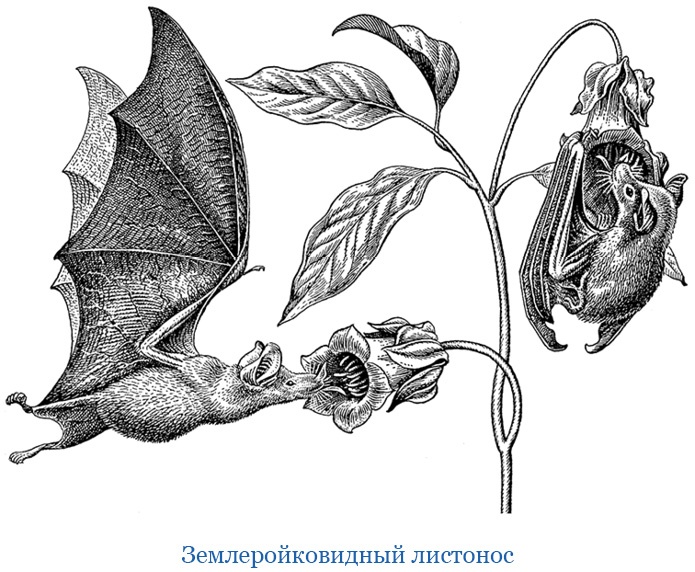 Иллюстрация к книге — Второе открытие Америки [i_081.jpg]