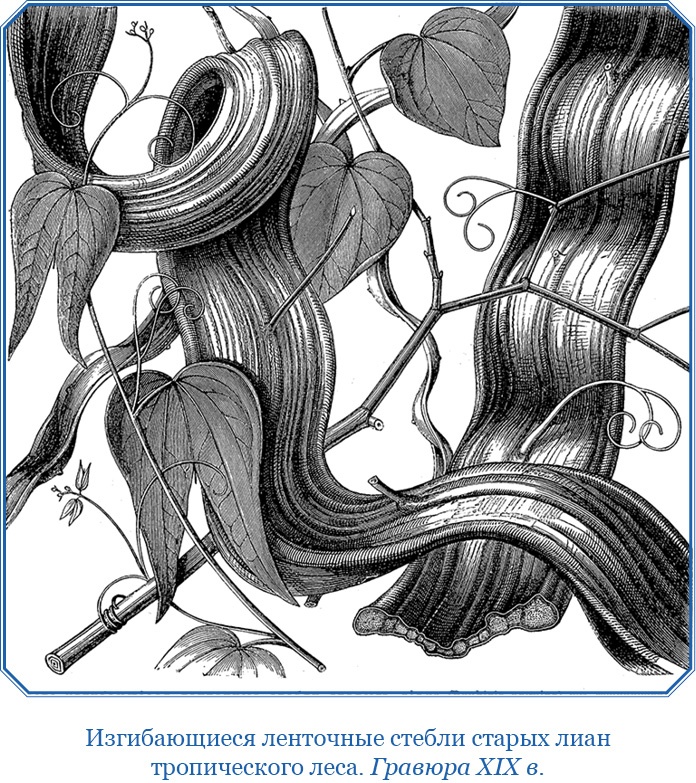 Иллюстрация к книге — Второе открытие Америки [i_087.jpg]