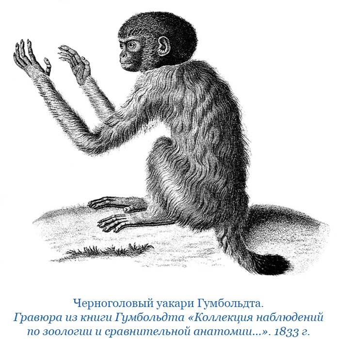 Иллюстрация к книге — Второе открытие Америки [i_089.jpg]