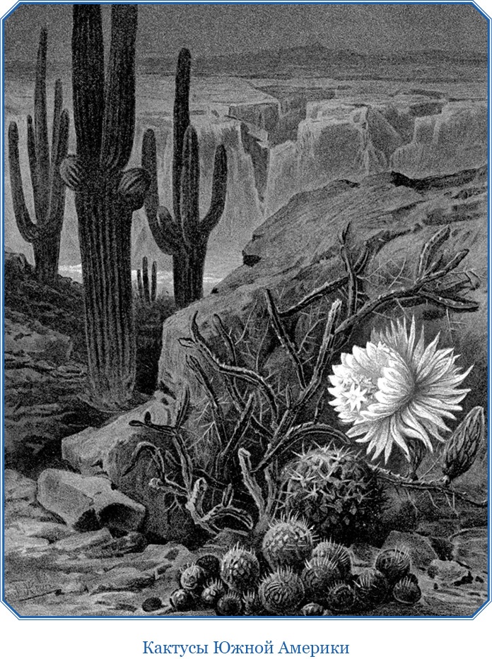 Иллюстрация к книге — Второе открытие Америки [i_100.jpg]