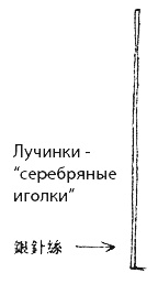Иллюстрация к книге — Суп из акульего плавника [i_022.jpg]