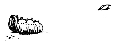 Иллюстрация к книге — Суп из акульего плавника [i_052.jpg]