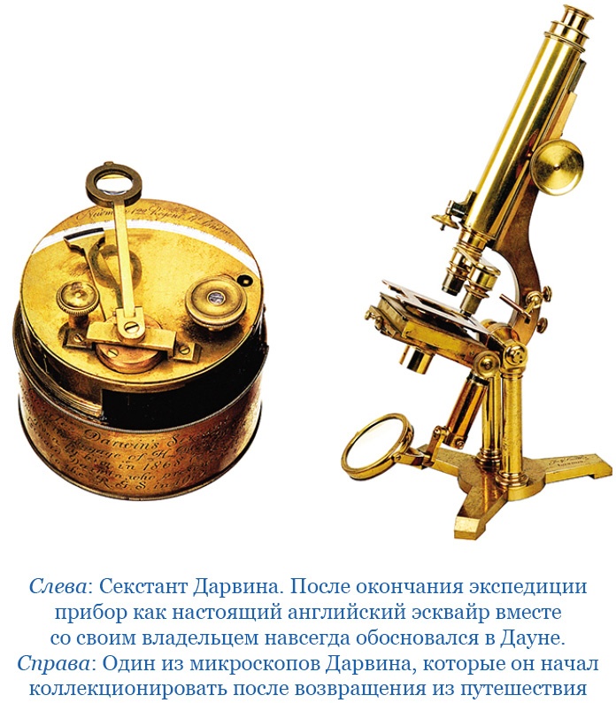 Иллюстрация к книге — Путешествие вокруг света на корабле «Бигль» [i_006.jpg]