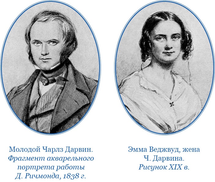 Иллюстрация к книге — Путешествие вокруг света на корабле «Бигль» [i_008.jpg]