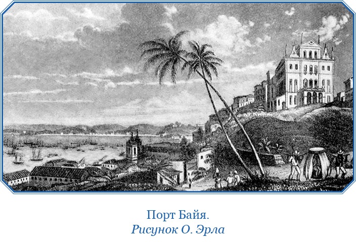 Иллюстрация к книге — Путешествие вокруг света на корабле «Бигль» [i_011.jpg]