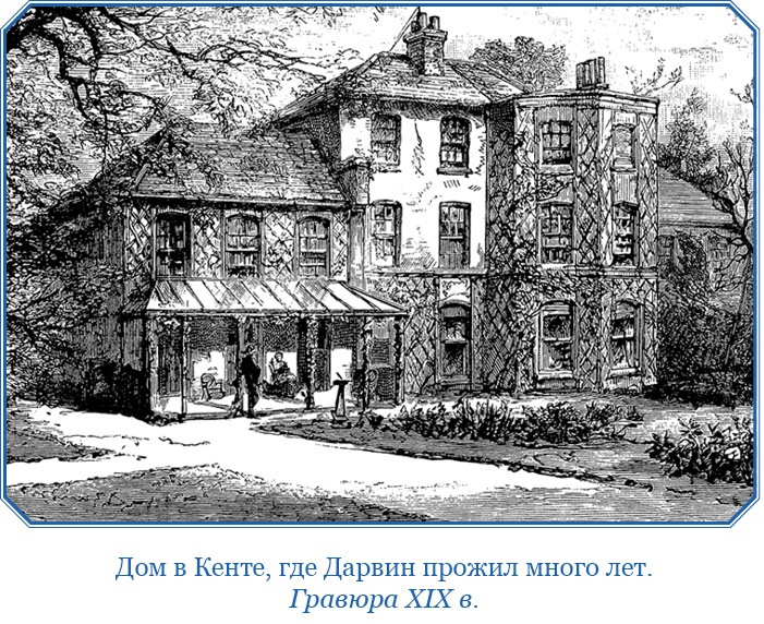 Иллюстрация к книге — Путешествие вокруг света на корабле «Бигль» [i_012.jpg]