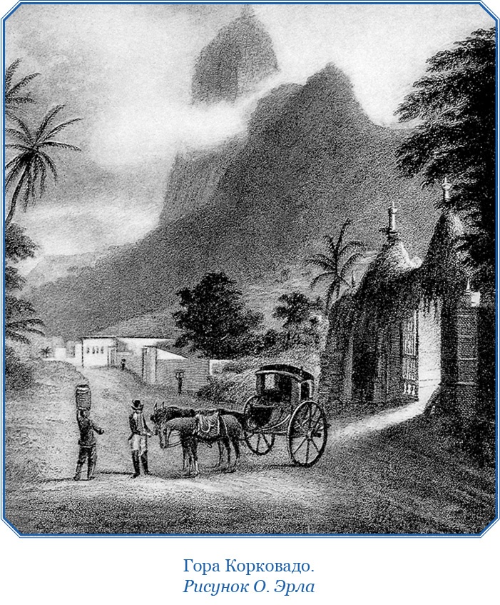 Иллюстрация к книге — Путешествие вокруг света на корабле «Бигль» [i_015.jpg]