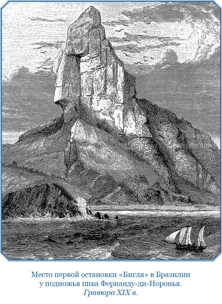Иллюстрация к книге — Путешествие вокруг света на корабле «Бигль» [i_019.jpg]