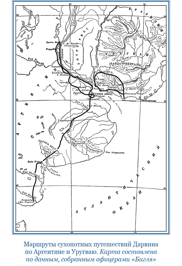 Иллюстрация к книге — Путешествие вокруг света на корабле «Бигль» [i_043.jpg]