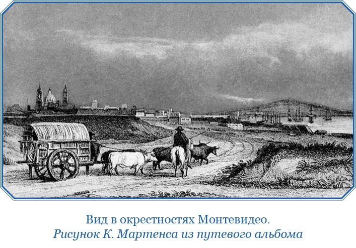 Иллюстрация к книге — Путешествие вокруг света на корабле «Бигль» [i_044.jpg]