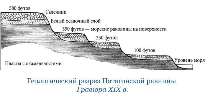 Иллюстрация к книге — Путешествие вокруг света на корабле «Бигль» [i_058.jpg]
