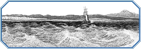 Иллюстрация к книге — Путешествие вокруг света на корабле «Бигль» [i_061.jpg]