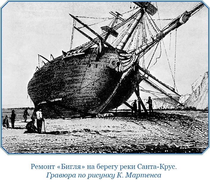 Иллюстрация к книге — Путешествие вокруг света на корабле «Бигль» [i_063.jpg]