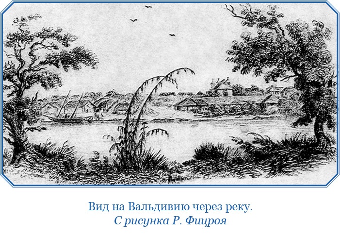 Иллюстрация к книге — Путешествие вокруг света на корабле «Бигль» [i_092.jpg]