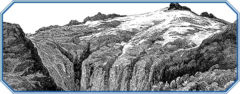 Иллюстрация к книге — Путешествие вокруг света на корабле «Бигль» [i_095.jpg]