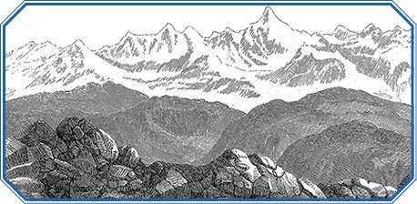 Иллюстрация к книге — Путешествие вокруг света на корабле «Бигль» [i_101.jpg]