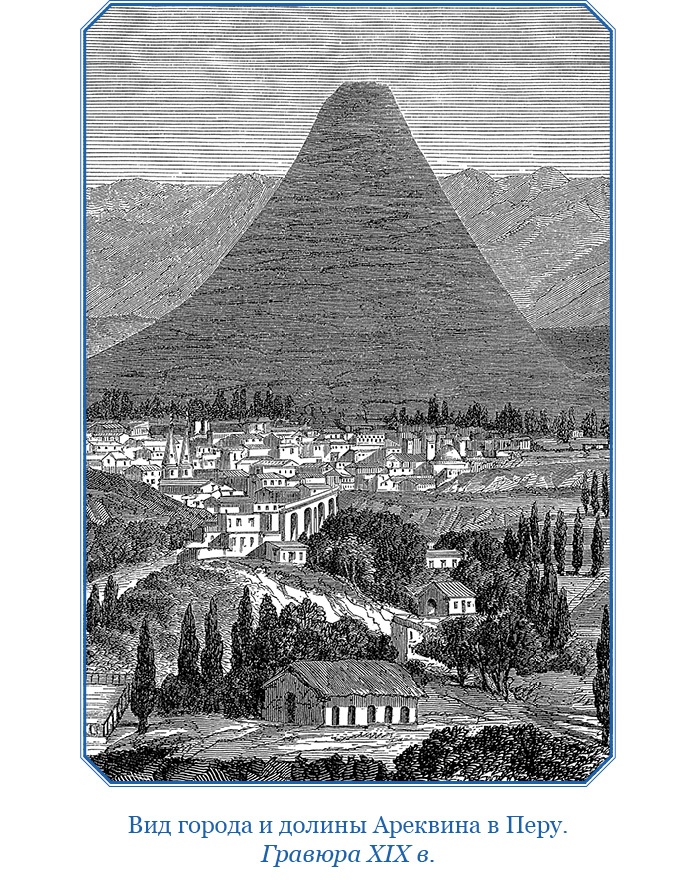 Иллюстрация к книге — Путешествие вокруг света на корабле «Бигль» [i_104.jpg]