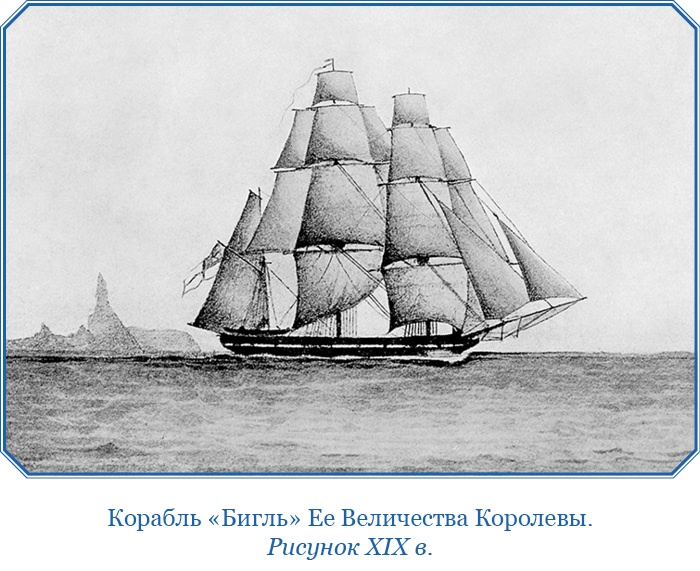 Иллюстрация к книге — Путешествие вокруг света на корабле «Бигль» [i_108.jpg]