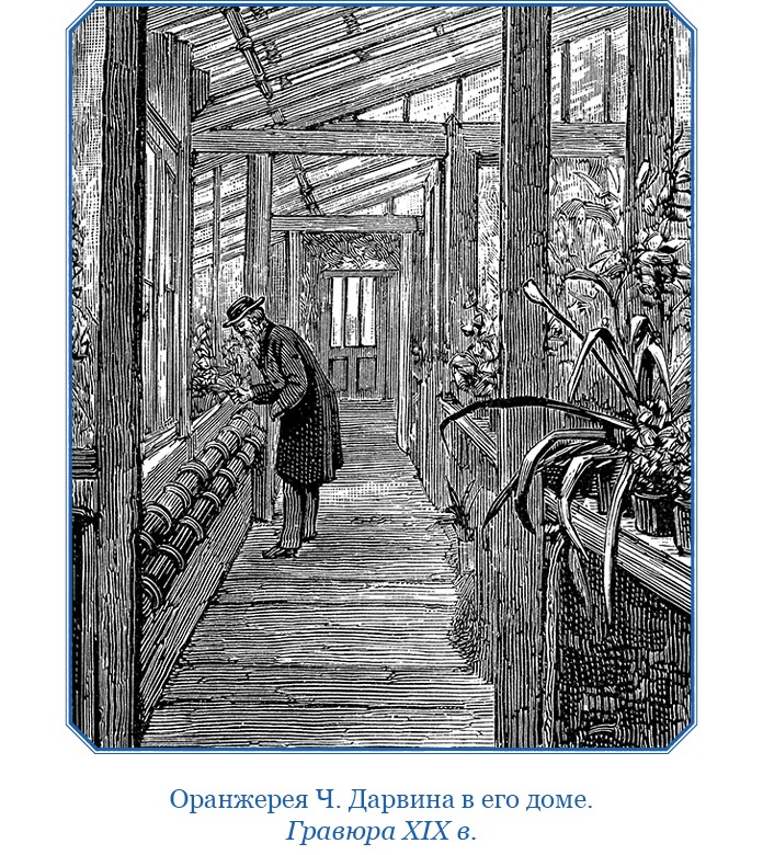 Иллюстрация к книге — Путешествие вокруг света на корабле «Бигль» [i_137.jpg]