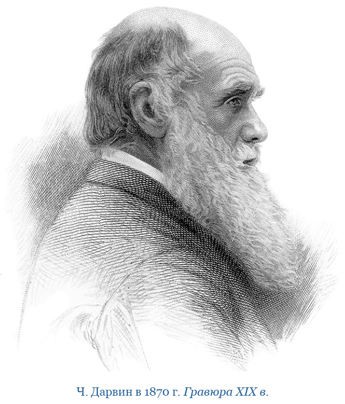 Иллюстрация к книге — Путешествие вокруг света на корабле «Бигль» [i_138.jpg]