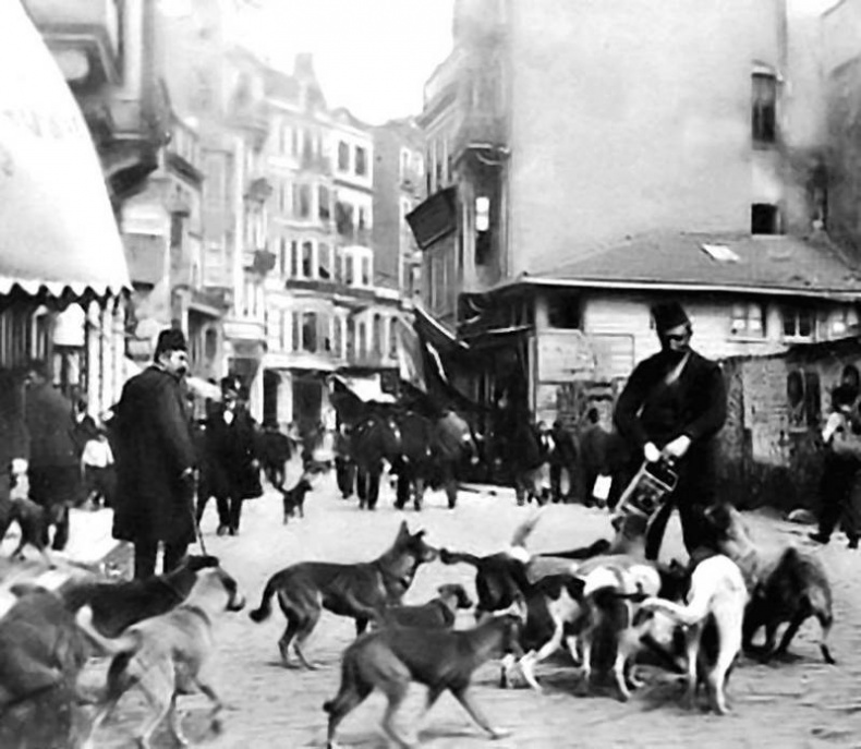 Иллюстрация к книге — Конец Великолепного века, или Загадки последних невольниц Востока [i_063.jpg]