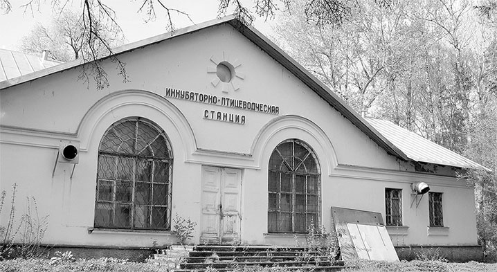 Иллюстрация к книге — Восьмое чудо света. ВСХВ-ВДНХ-ВВЦ [i_302.jpg]