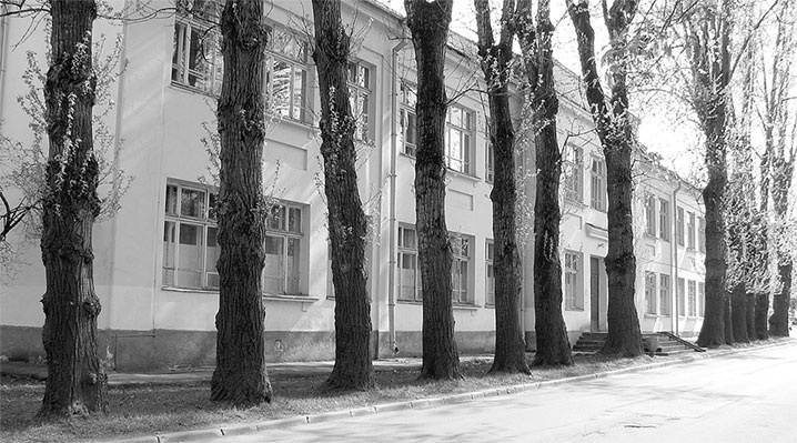 Иллюстрация к книге — Восьмое чудо света. ВСХВ-ВДНХ-ВВЦ [i_333.jpg]