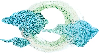 Иллюстрация к книге — Истории для девочек [i_094.jpg]