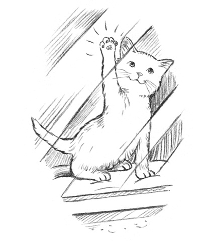 Иллюстрация к книге — Энджел. Котенок обретает дом [i_009.jpg]