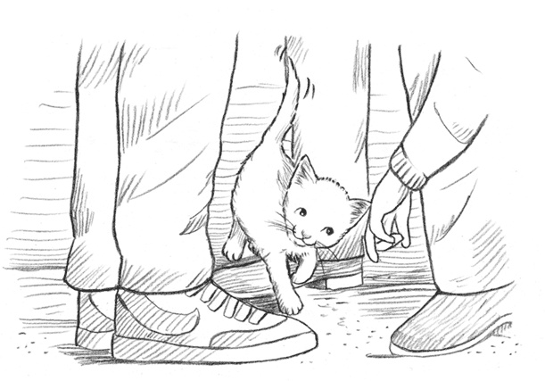 Иллюстрация к книге — Энджел. Котенок обретает дом [i_010.jpg]