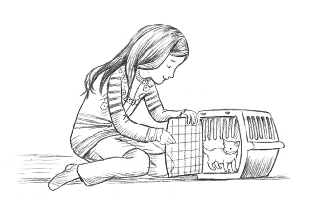 Иллюстрация к книге — Энджел. Котенок обретает дом [i_012.jpg]