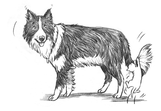 Иллюстрация к книге — Энджел. Котенок обретает дом [i_013.jpg]