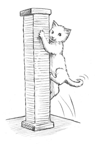 Иллюстрация к книге — Энджел. Котенок обретает дом [i_016.jpg]