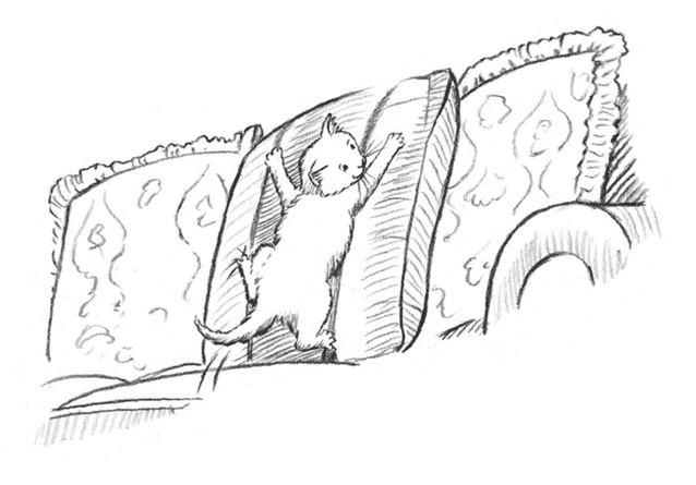 Иллюстрация к книге — Энджел. Котенок обретает дом [i_017.jpg]