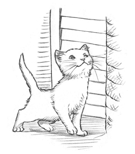 Иллюстрация к книге — Энджел. Котенок обретает дом [i_021.jpg]