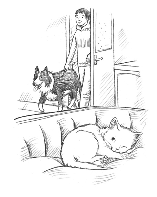 Иллюстрация к книге — Энджел. Котенок обретает дом [i_024.jpg]