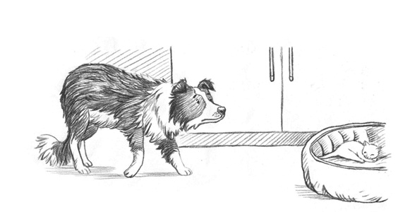 Иллюстрация к книге — Энджел. Котенок обретает дом [i_025.jpg]