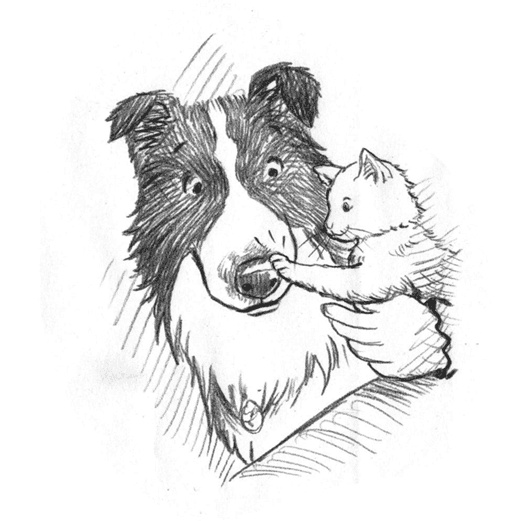 Иллюстрация к книге — Энджел. Котенок обретает дом [i_027.jpg]