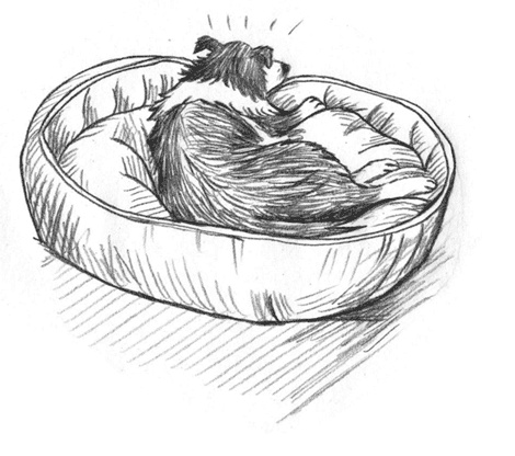 Иллюстрация к книге — Энджел. Котенок обретает дом [i_028.jpg]