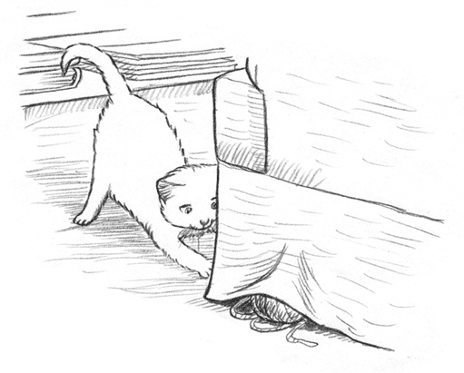 Иллюстрация к книге — Энджел. Котенок обретает дом [i_031.jpg]