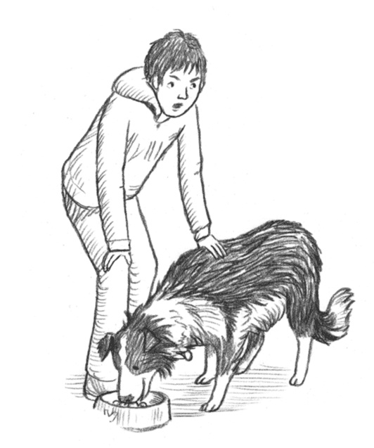 Иллюстрация к книге — Энджел. Котенок обретает дом [i_041.jpg]