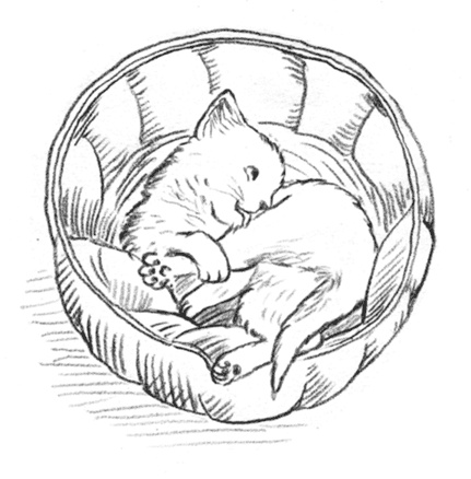 Иллюстрация к книге — Энджел. Котенок обретает дом [i_044.jpg]