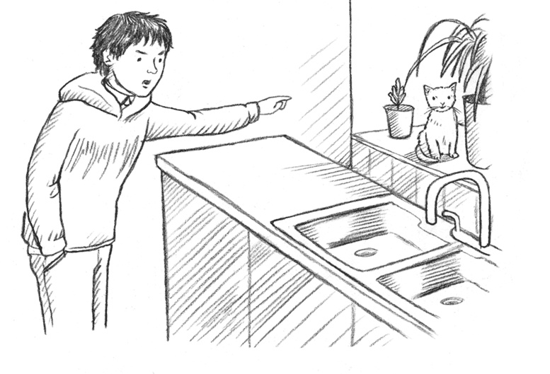 Иллюстрация к книге — Энджел. Котенок обретает дом [i_050.jpg]