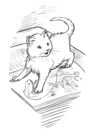 Иллюстрация к книге — Энджел. Котенок обретает дом [i_071.jpg]