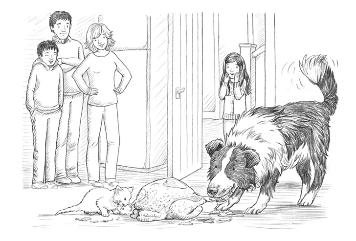 Иллюстрация к книге — Энджел. Котенок обретает дом [i_078.jpg]