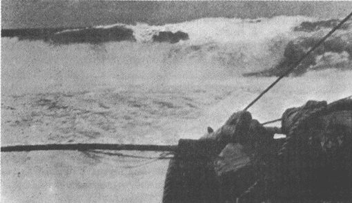 Иллюстрация к книге — Тур Хейердал. Биография. Книга 1. Человек и океан [i_093.jpg]