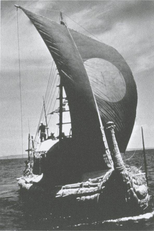 Иллюстрация к книге — Тур Хейердал. Биография. Книга 2. Человек и мир [i_076.jpg]